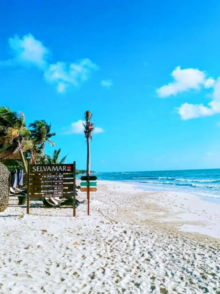 Apartment Playa del Carmen